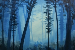 Misty Forest of Trees